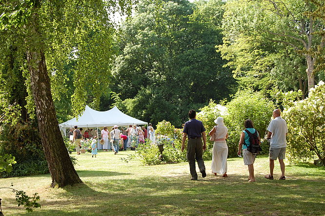 Rosenfest im Rosenpark Groß Siemen