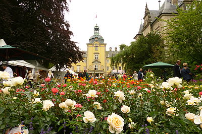 LANDPARTIE SCHLOSS BÜCKEBURG