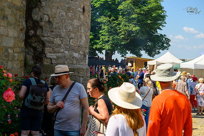Schloss Königsberg „Königsberger Rosentage