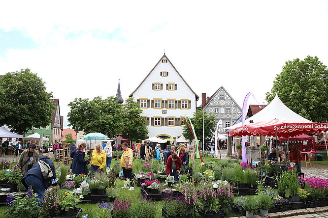 Marienplatz Hollfeld „Fränkische Kunst- & Rosentage