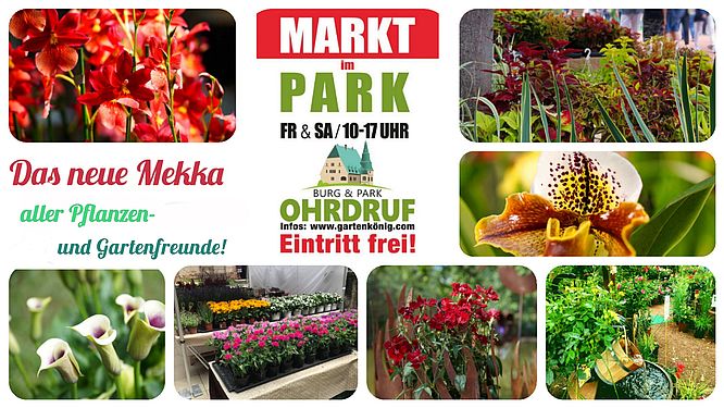 Burg &  Park Ohrdruf, Markt im Park Impressionen