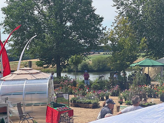 Mainufer Gartenfest Haßfurt à la Rosenmesse