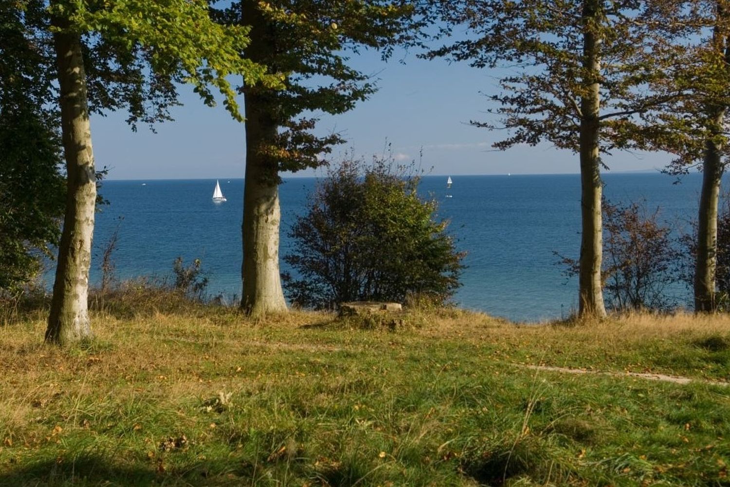 Impressionen bei CASTLEWELT - RuheForst Ostseeküste / Brodau					