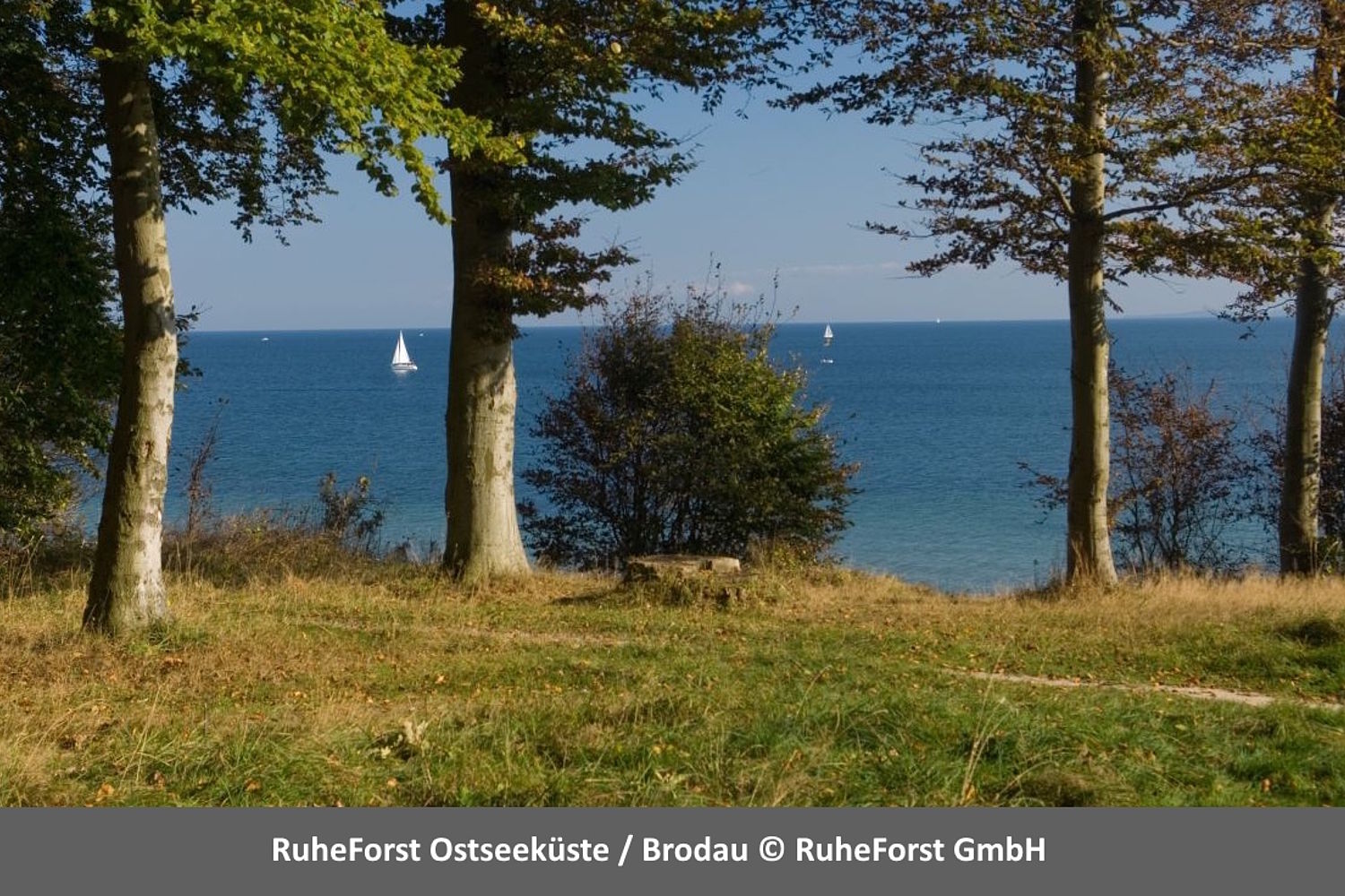 Impressionen bei CASTLEWELT - RuheForst Ostseeküste / Brodau					