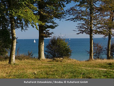 RuheForst Ostseeküste Brodau - Waldbestattung im Bestattungswald an der Ostsee