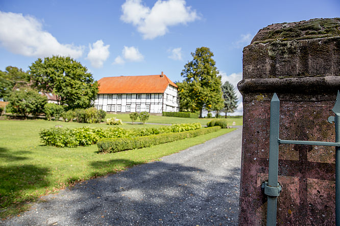 Der Hardenberg - Majas Pflanzentage