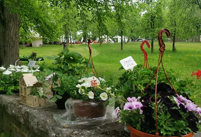 Burg &  Park Ohrdruf, Markt im Park Impressionen