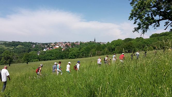 Fachwerkstadt Grünberg & Umgebung, Sport-Freizeit, geführte Wanderung