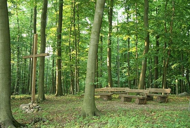 Impressionen bei CASTLEWELT - RuheForst Paradies / Obersulm