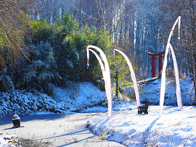 Winterwoche mit & ohne Hund im Schlosspark Dennenlohe