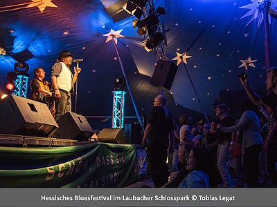 Besucher beim Hessischen Bluesfestival im Laubacher Schlosspark