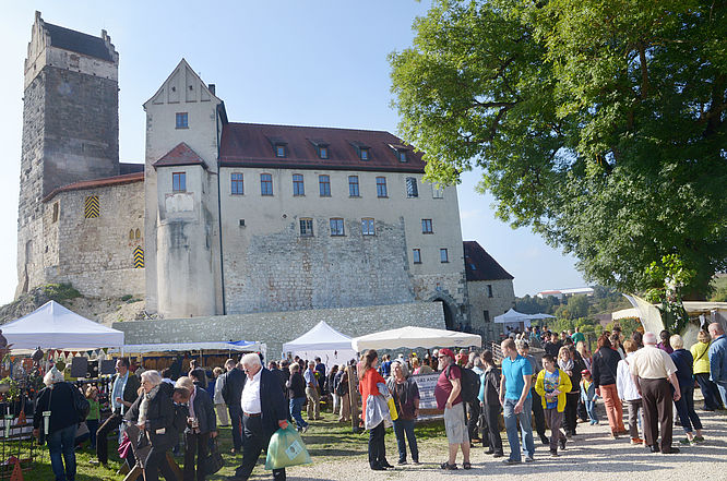 Burg Katzenstein, Veranstaltungen auf der Stauferburg