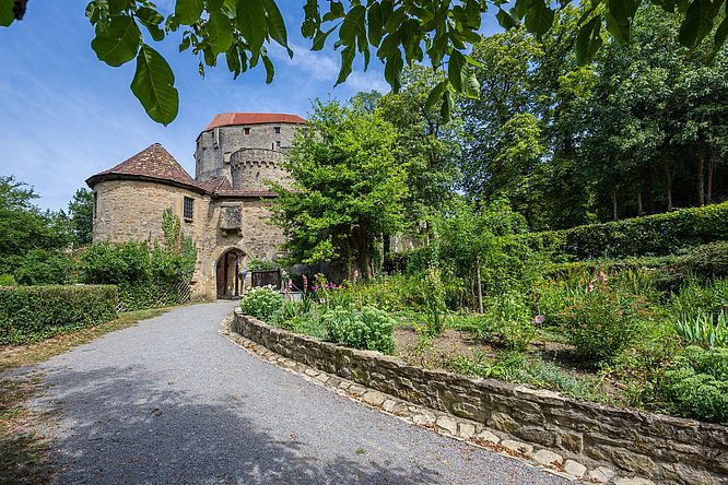 Burg Guttenberg, Schildmauer mit Pechnase