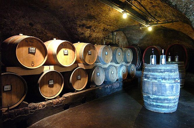 Weingut Graf von Kanitz - Fasskeller