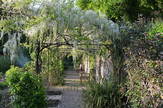 Mundraubgarten im Ippenburger Küchengarten