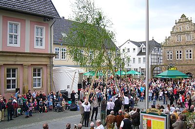 „Maibaum aufstellen“ in Bückeburg