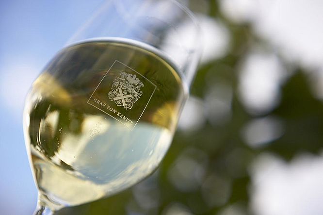 Weingut Graf von Kanitz | UNSERE WEINE - AUSDRUCK VON TERROIR UND LEIDENSCHAFT