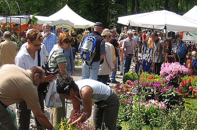 Parkromantik Rittergut Lucklum