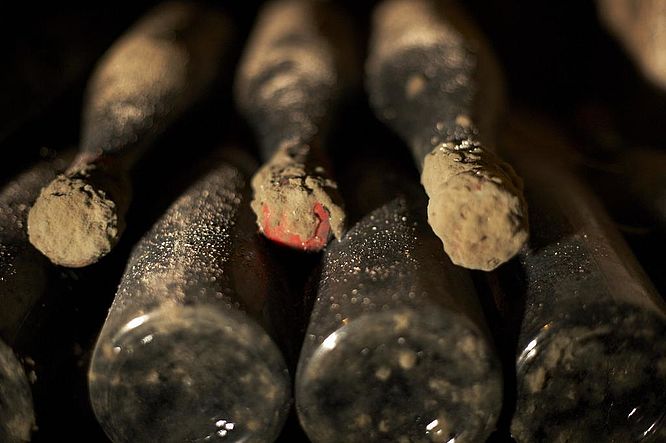 Weingut Graf von Kanitz, wertvolle „Alte Weine“ im Keller
