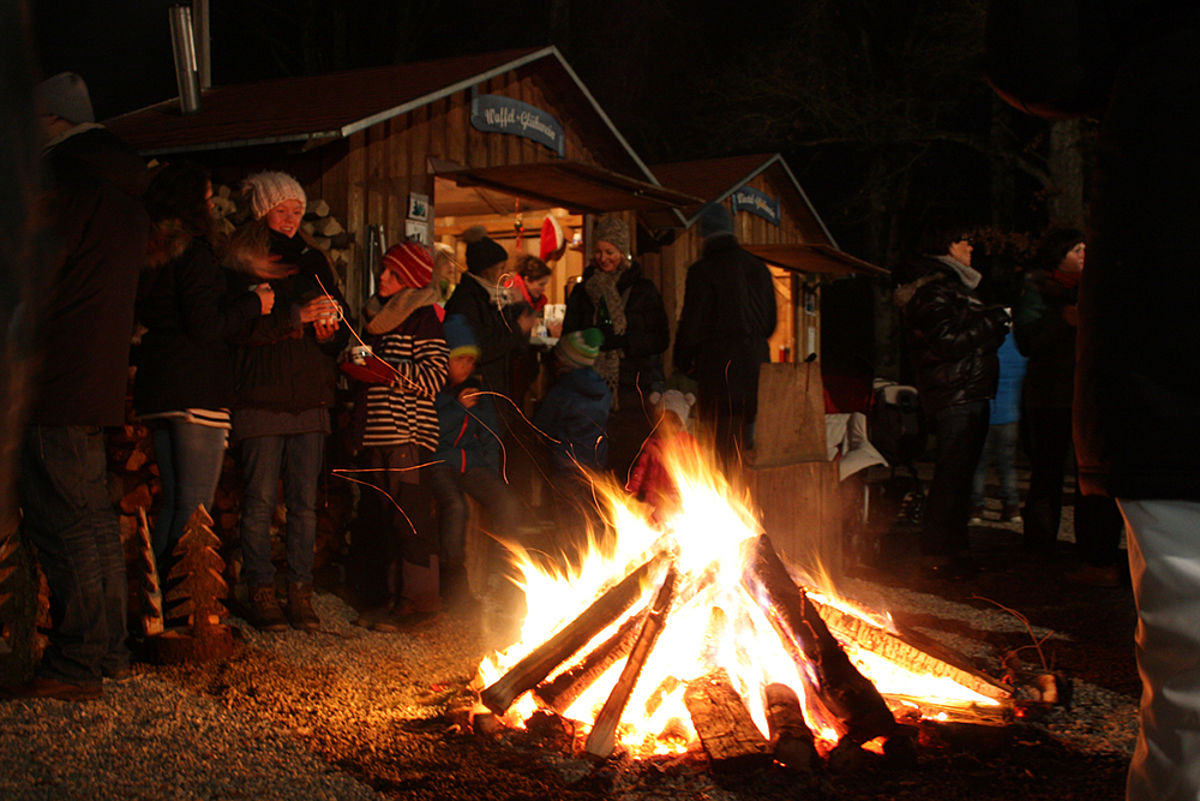 Christbäume selber-schlagen und Christkindlmarkt Schloss Unterweikertshofen