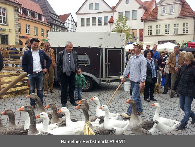 Historische Altstadt Hameln, Hamelner Herbstmarkt