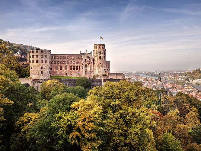 Schloss Heidelberg, Panorama