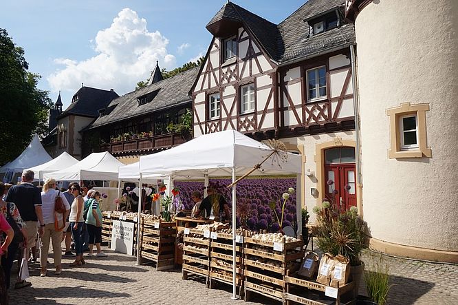 Herbstfestival Schloss Eller