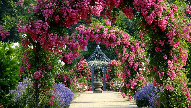 Magdalenengarten zu Hildesheim