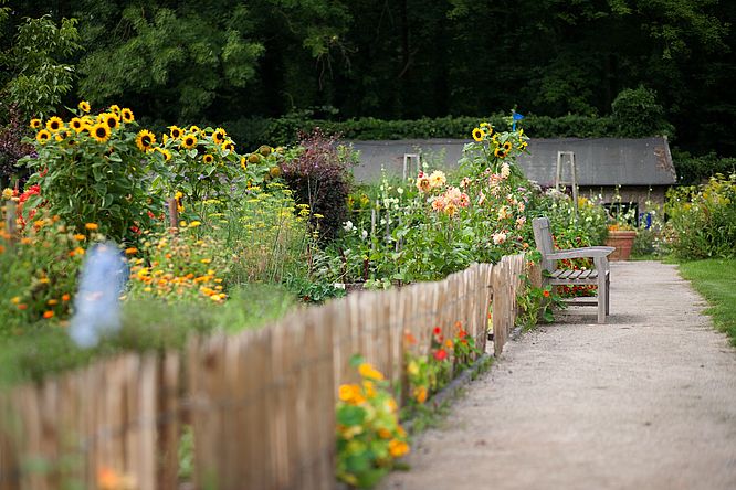 Ippenburger Küchengarten