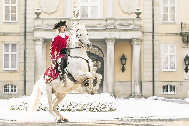 WEIHNACHTSZAUBER SCHLOSS BÜCKEBURG