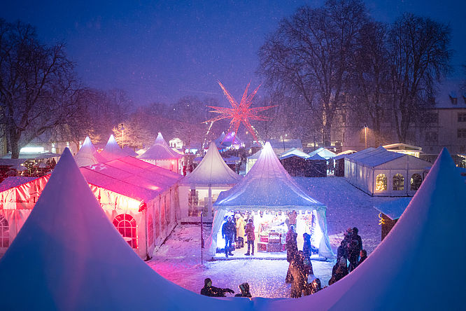 Schloss und Schlosspark Neuhaus - Der Weihnachtszauber im Schnee