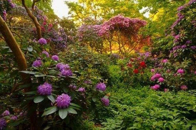 Die besten Gartenfotos der Welt OpenAirAusstellung in den