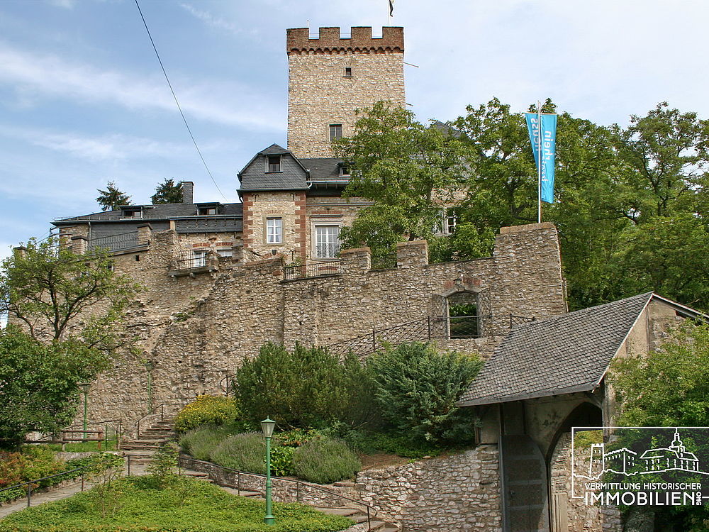Schloss Burg Verkauf