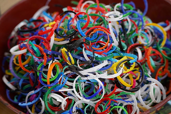 "Zukunftsgarten" im Neuhäuser Schlosspark!