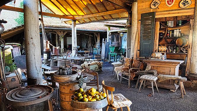 Burg Brandenstein, Workshops & Tastings