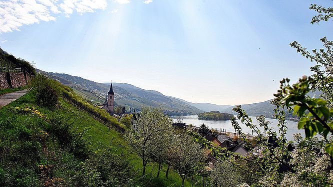 Oster-Weinwanderung - Weingut Graf von Kanitz