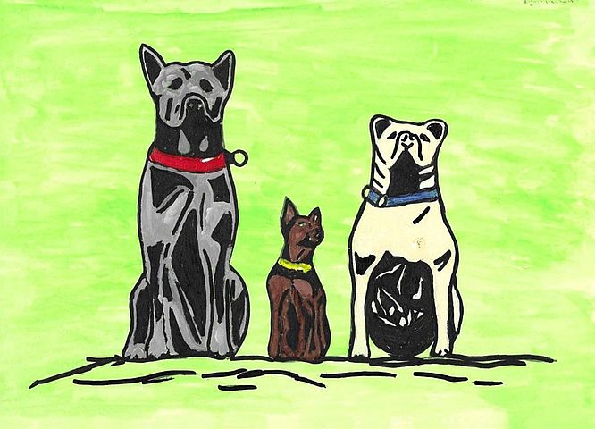 TRAIN & TALK im Schlosspark Dennenlohe