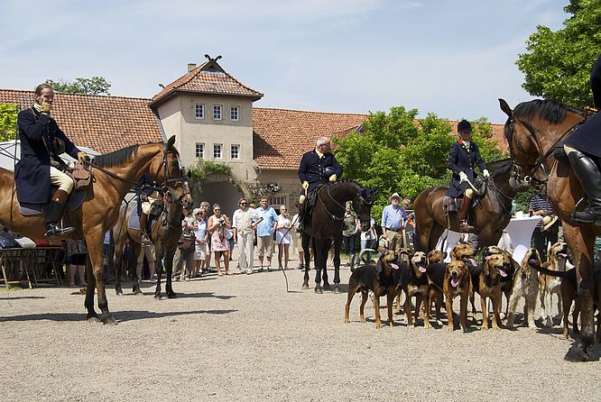 Rittergut Remeringhausen, British Weekend, Böhmer Harrier Meute