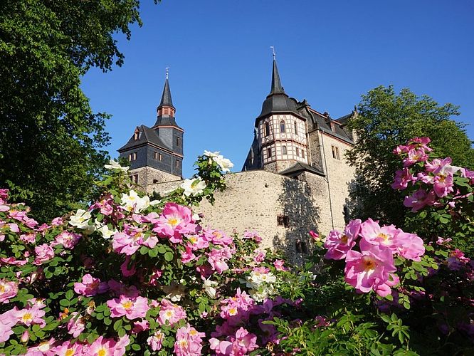 hôtel schloss romrod, Sommerbild außen