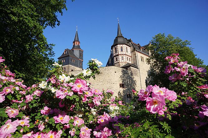 hôtel schloss romrod, Sommerbild außen