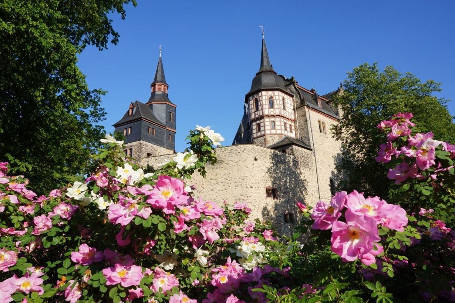 hôtel schloss romrod, Sommerbild außen