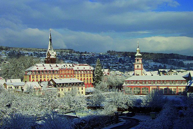 Schloss Erbach im Winter