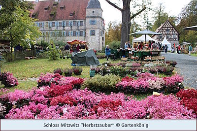 Schloss Mitzwitz “Herbstzauber” © Gartenkönig