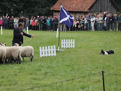 Erlebnismarkt „Rund ums Tier“ Burg & Park Ohrdruf