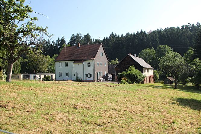 Jagdgut Ohrnbachtal