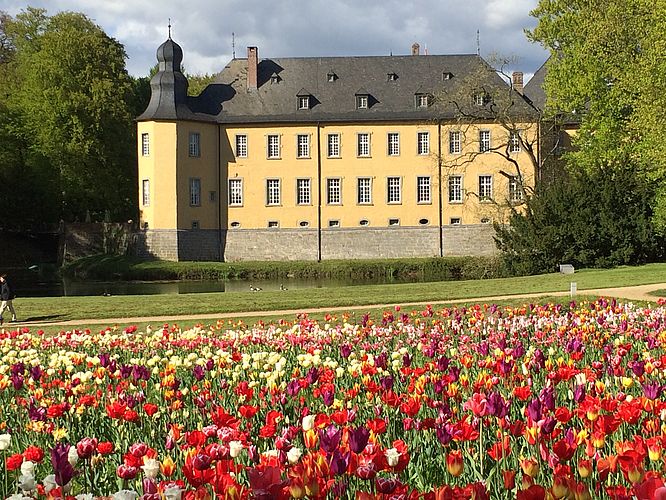 Schlossfrühling in Schloss Dyck