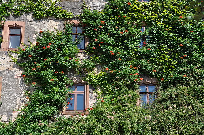 Schloss Laubach, Impression