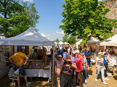 Schloss Königsberg „Königsberger Rosentage
