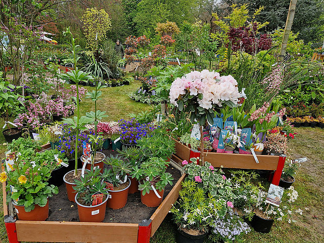 Pflanzentage" auf Rittergut Remeringhausen