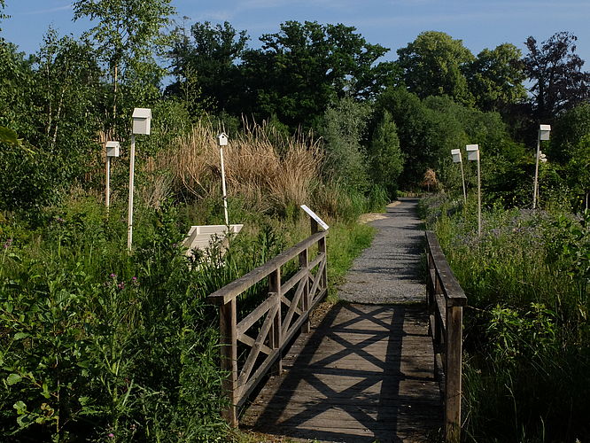 Spaziergang in der Ippenburger Wildnis